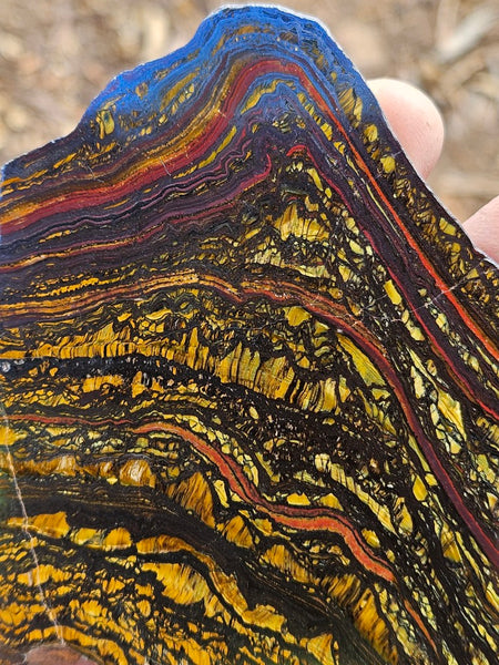Polished Tiger Iron slab TI394