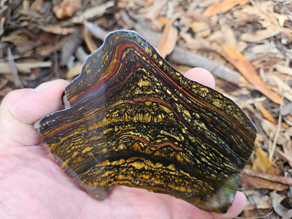 Polished Tiger Iron slab TI394