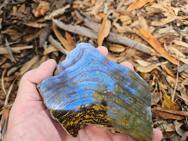 Polished Tiger Iron slab TI394