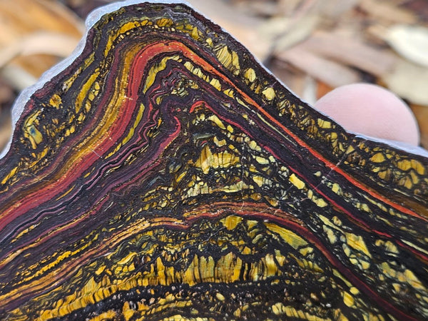 Polished Tiger Iron slab TI394