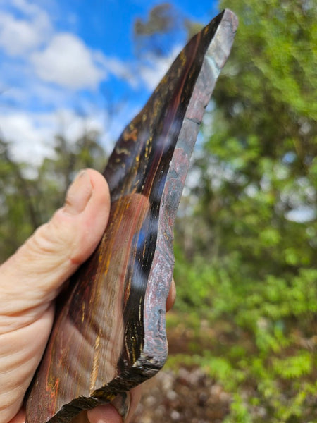 Polished Tiger Iron slab TI395