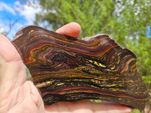 Polished Tiger Iron slab TI395