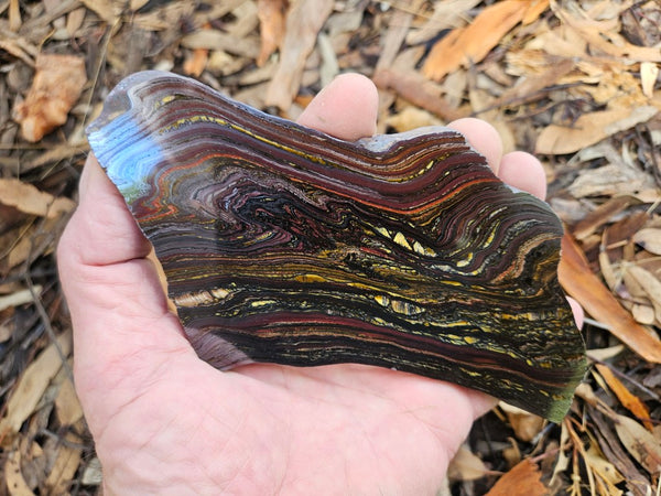 Polished Tiger Iron slab TI395