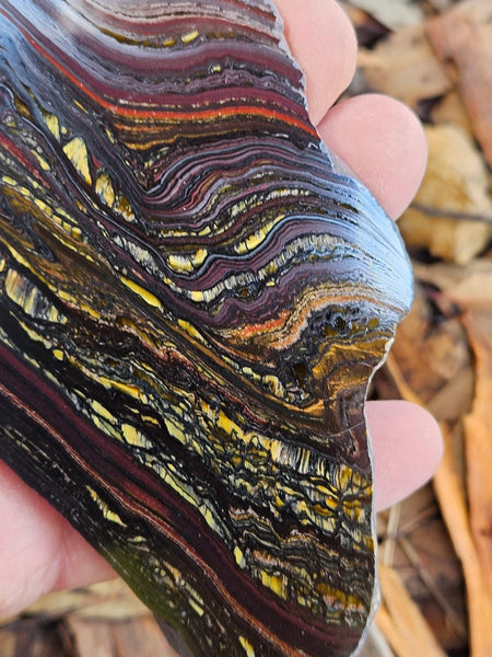 Polished Tiger Iron slab TI395