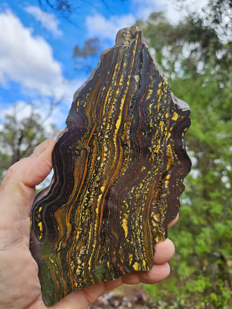 Polished Tiger Iron slab TI396