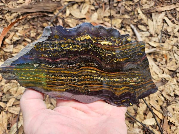 Polished Tiger Iron slab TI396