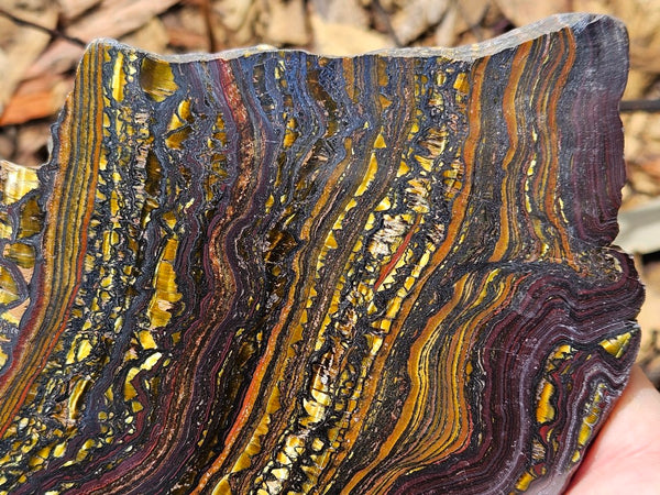 Polished Tiger Iron slab TI396