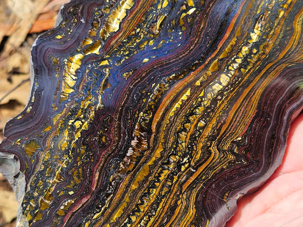 Polished Tiger Iron slab TI396