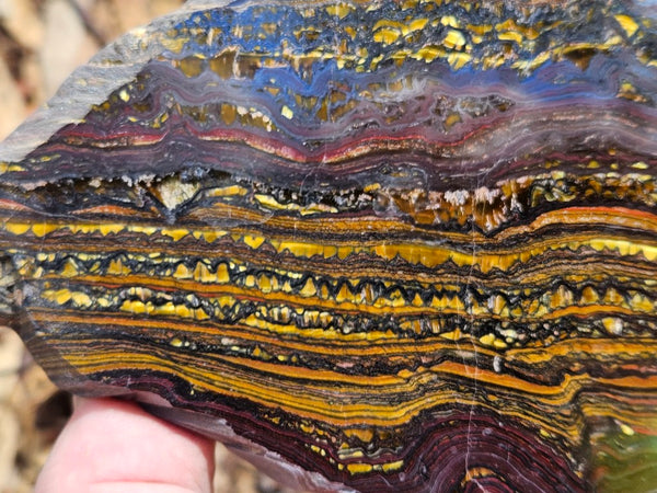 Polished Tiger Iron slab TI396