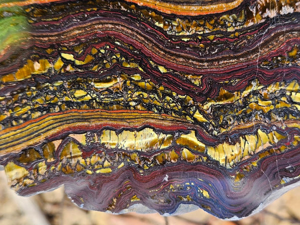 Polished Tiger Iron slab TI396