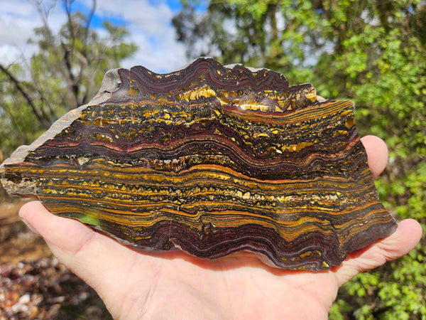 Polished Tiger Iron slab TI396