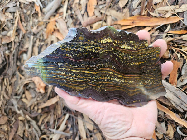 Polished Tiger Iron slab TI396