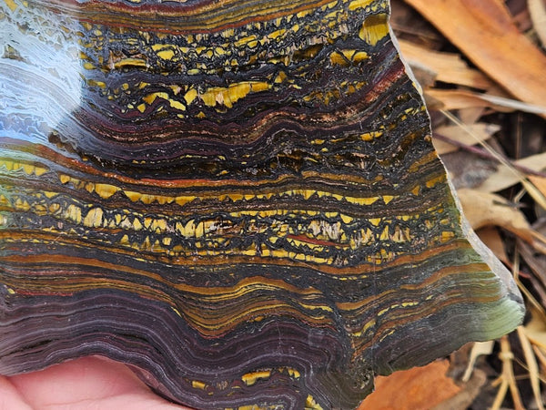 Polished Tiger Iron slab TI396