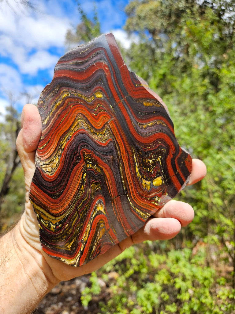 Polished Tiger Iron slab TI397