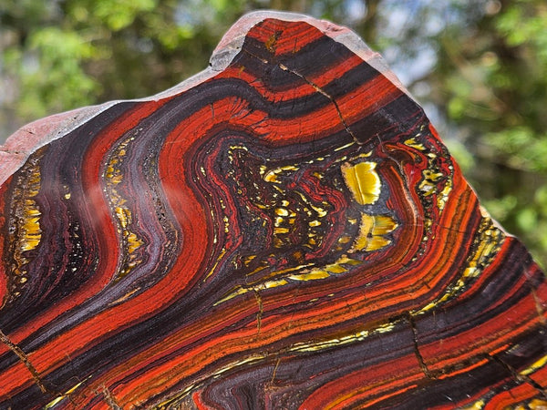 Polished Tiger Iron slab TI397
