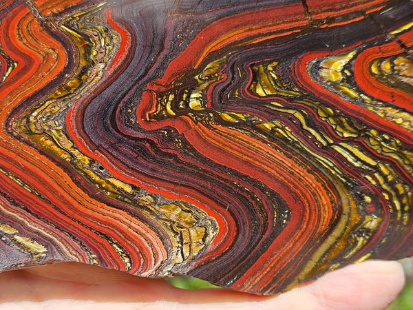 Polished Tiger Iron slab TI397