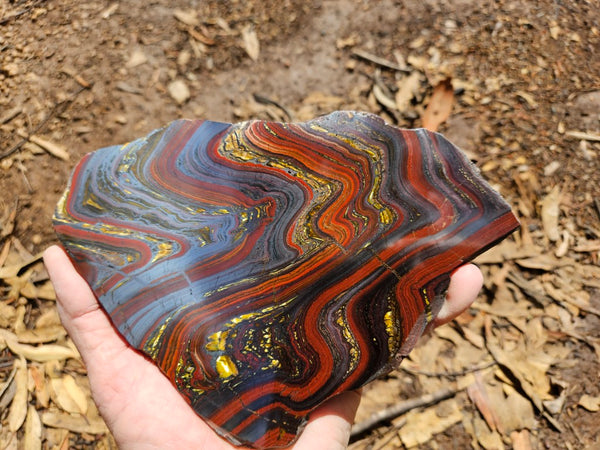 Polished Tiger Iron slab TI397