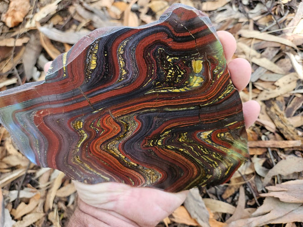 Polished Tiger Iron slab TI397