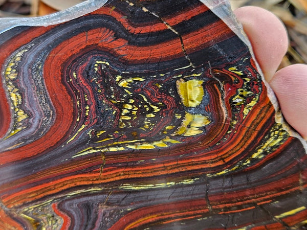 Polished Tiger Iron slab TI397