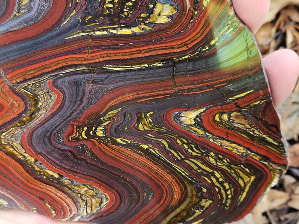 Polished Tiger Iron slab TI397