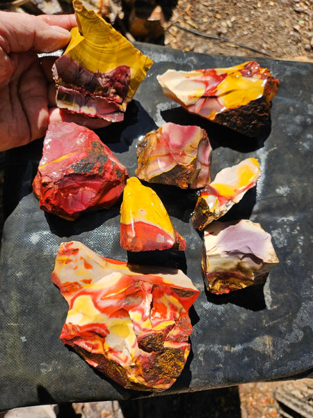 Mookaite rough.  MKR 298