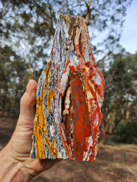 Polished Killaloe Opal  KO132
