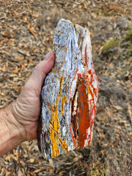 Polished Killaloe Opal  KO132