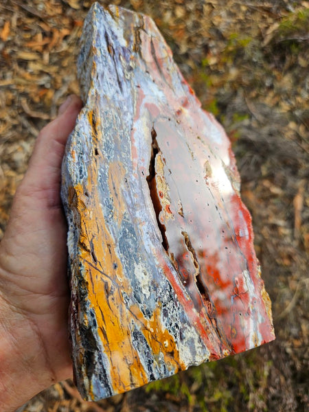 Polished Killaloe Opal  KO132