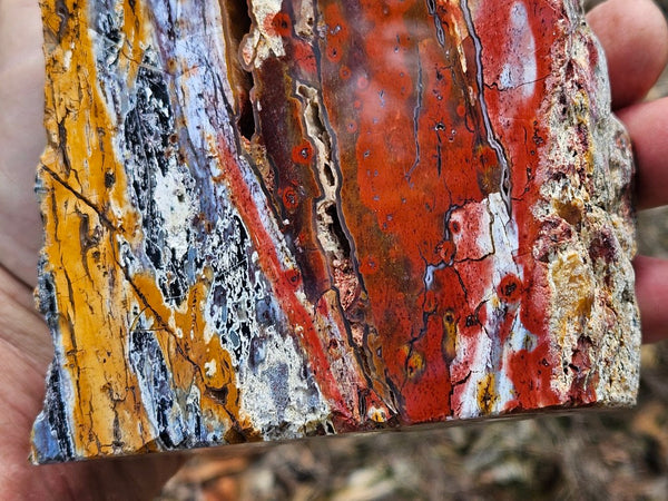 Polished Killaloe Opal  KO132