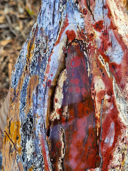 Polished Killaloe Opal  KO132