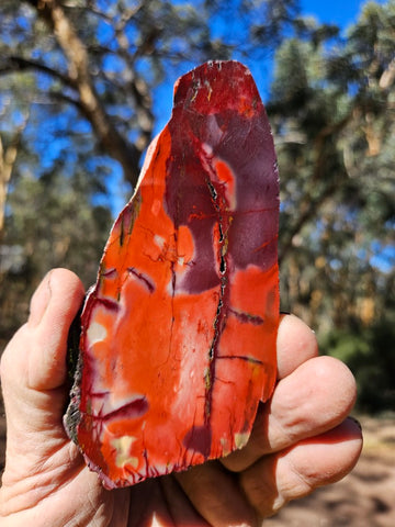 Polished  Mookaite slab MK586