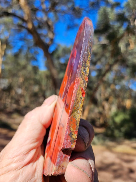 Polished  Mookaite slab MK586