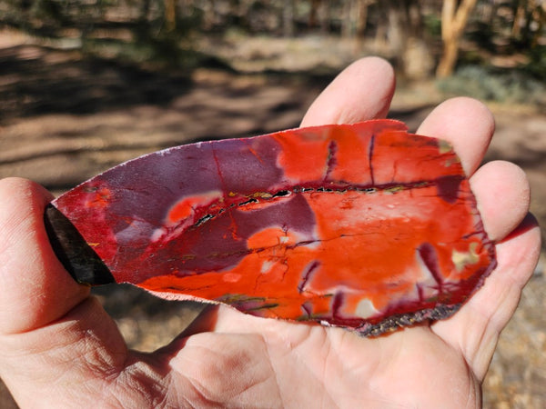 Polished  Mookaite slab MK586