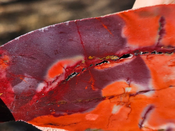 Polished  Mookaite slab MK586