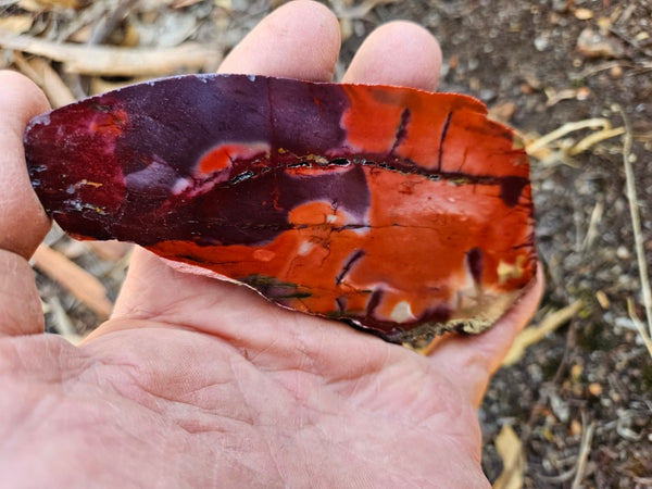 Polished  Mookaite slab MK586