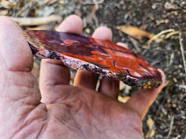 Polished  Mookaite slab MK586