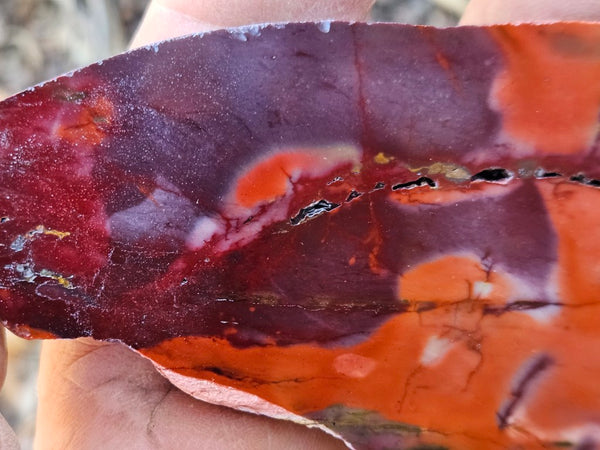 Polished  Mookaite slab MK586