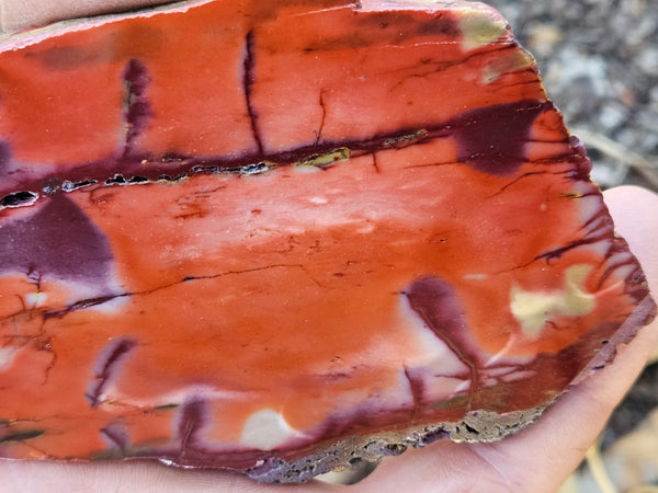 Polished  Mookaite slab MK586