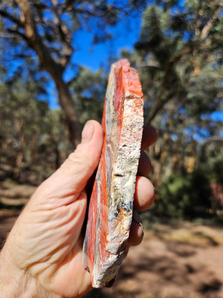 Polished Killaloe Opal slab KO134