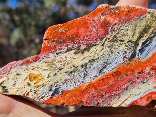 Polished Killaloe Opal slab KO134