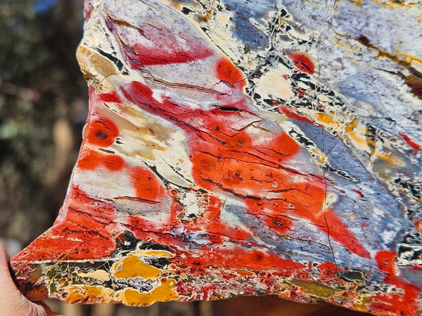 Polished Killaloe Opal slab KO135