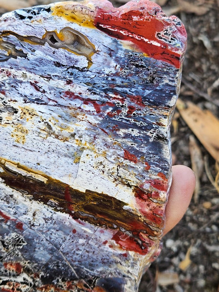 Polished Killaloe Opal slab KO135