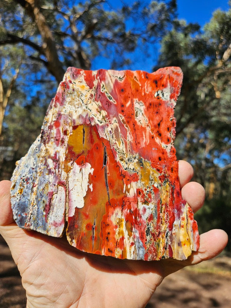 Polished Killaloe Opal slab KO136