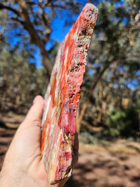 Polished Killaloe Opal slab KO136