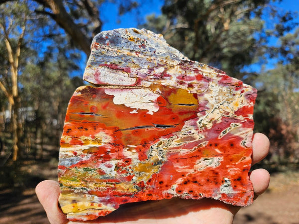 Polished Killaloe Opal slab KO136
