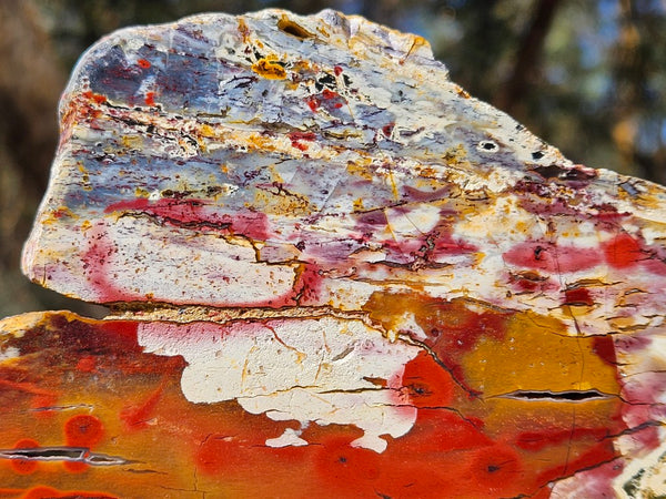 Polished Killaloe Opal slab KO136