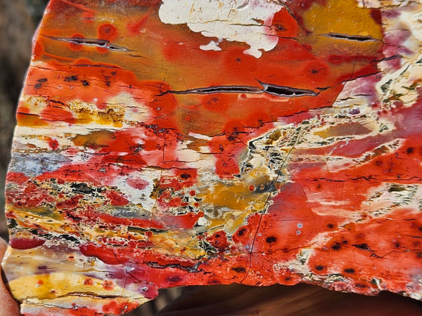 Polished Killaloe Opal slab KO136