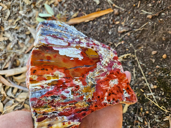 Polished Killaloe Opal slab KO136
