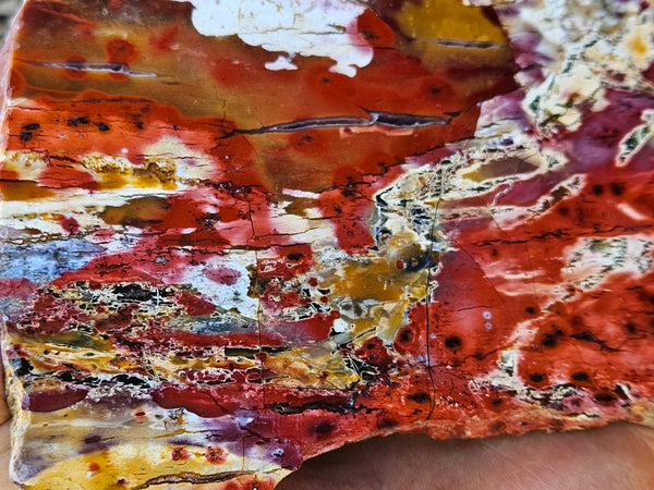 Polished Killaloe Opal slab KO136