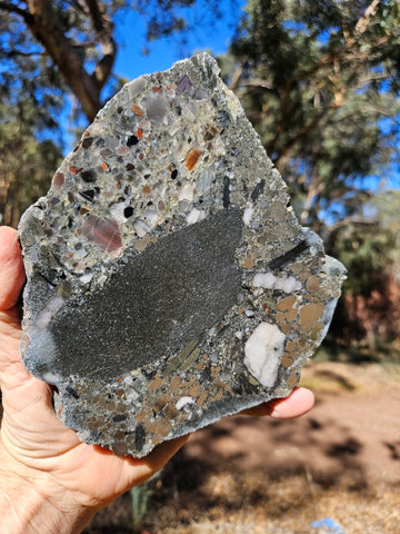 Polished Beaton's Creek auriferous conglomerate slab BC120
